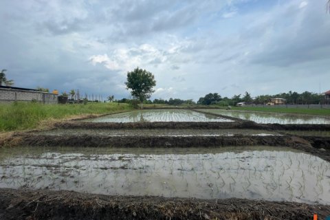 Land in Tabanan, Indonesia No. 11340