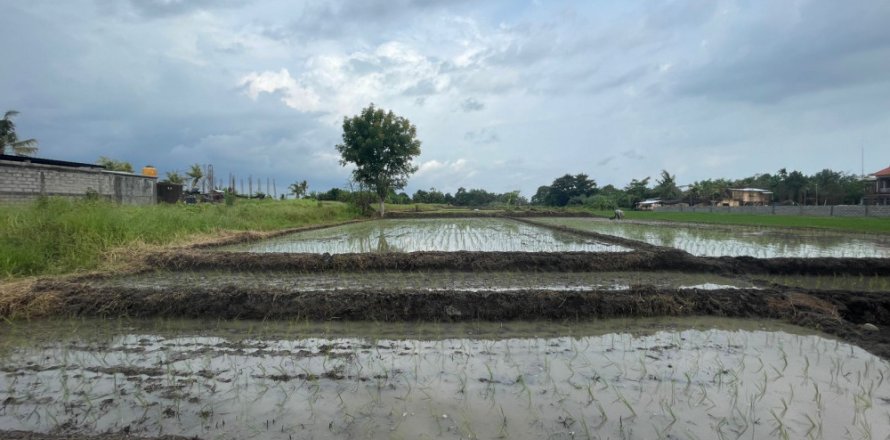 Land in Tabanan, Indonesia No. 11340