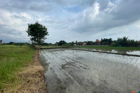 Land in Tabanan, Indonesia No. 11340 2