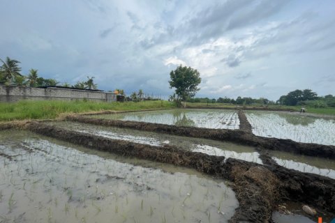 Land in Tabanan, Indonesia No. 11340 3