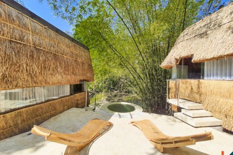2 bedrooms Villa in Tumbak Bayuh, Mengwi, Badung, Indonesia No. 11343 2