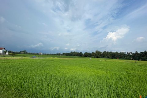Land in Kediri, Indonesia No. 11339