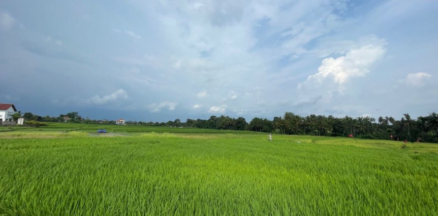 Land in Kediri, Indonesia No. 11339