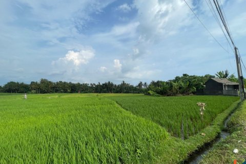 Land in Kediri, Indonesia No. 11339 2