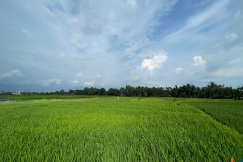 Land in Kediri, Indonesia No. 11339 3