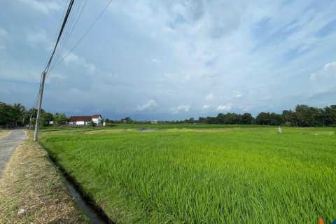 Land in Kediri, Indonesia No. 11339 4