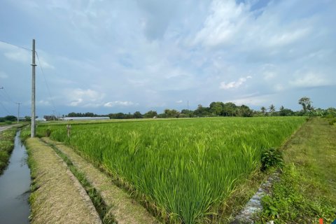 Land in Kediri, Indonesia No. 11341 4