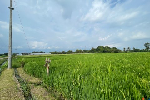 Land in Kediri, Indonesia No. 11341 2