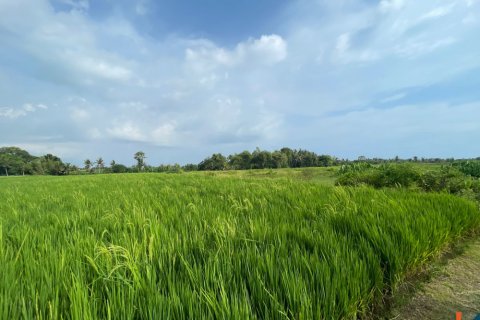 Land in Kediri, Indonesia No. 11341 3