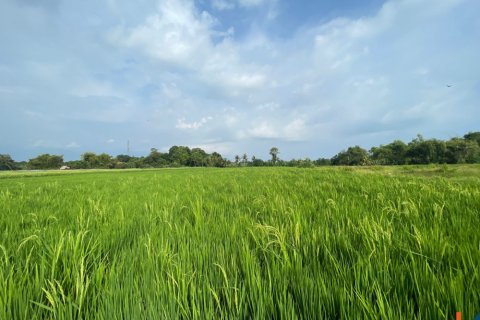 Land in Kediri, Indonesia No. 11341