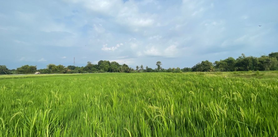 Land in Kediri, Indonesia No. 11341