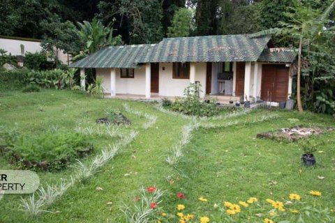 Вилла с 1 спальней в Karangasem, Карангасем, Индонезия № 13543 4