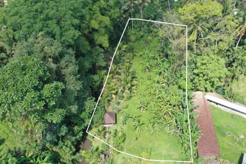 Land in Ubud, Gianyar, Indonesia No. 2164
