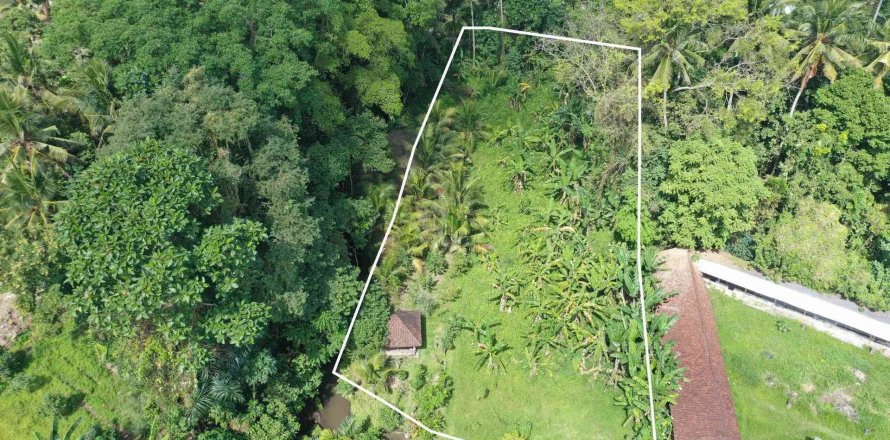 Land in Ubud, Gianyar, Indonesia No. 2164
