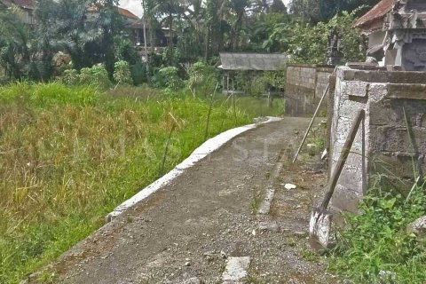Land in Ubud, Gianyar, Indonesia No. 2164 2