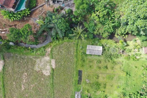 Land in Ubud, Gianyar, Indonesia No. 2164 3