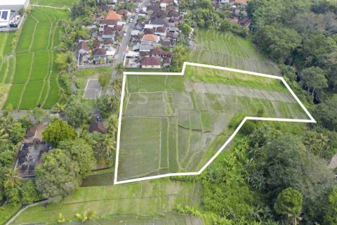 Land in Kediri, Tabanan, Indonesia No. 2159