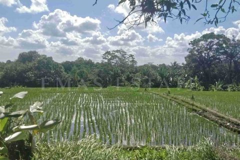 Land in Kediri, Tabanan, Indonesia No. 2159 3