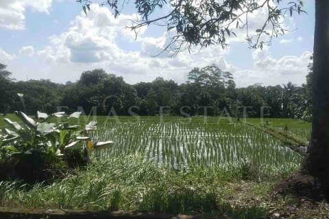 Land in Kediri, Tabanan, Indonesia No. 2159 4