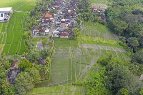 Land in Kediri, Tabanan, Indonesia No. 2159 6