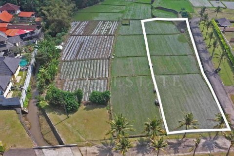 Land in Sukawati, Gianyar, Indonesia No. 2162 1