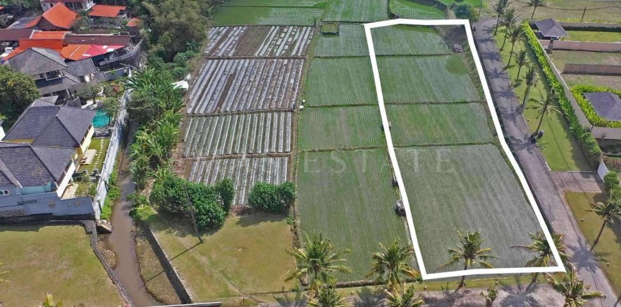Land in Sukawati, Gianyar, Indonesia No. 2162