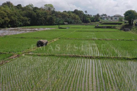 Land in Sukawati, Gianyar, Indonesia No. 2162 2