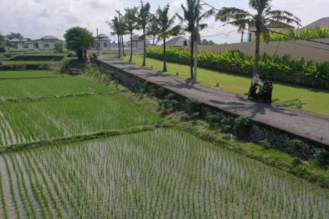 Land in Sukawati, Gianyar, Indonesia No. 2162 6
