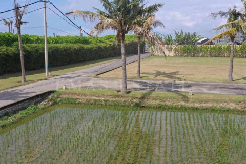 Land in Sukawati, Gianyar, Indonesia No. 2162 7