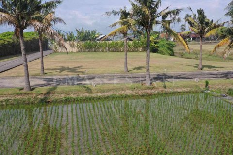 Land in Sukawati, Gianyar, Indonesia No. 2162 8
