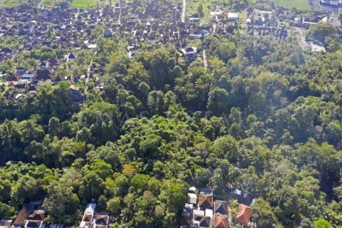 Land in Kediri, Tabanan, Indonesia No. 2160 4