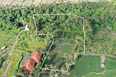Land in Ubud, Gianyar, Indonesia No. 2163