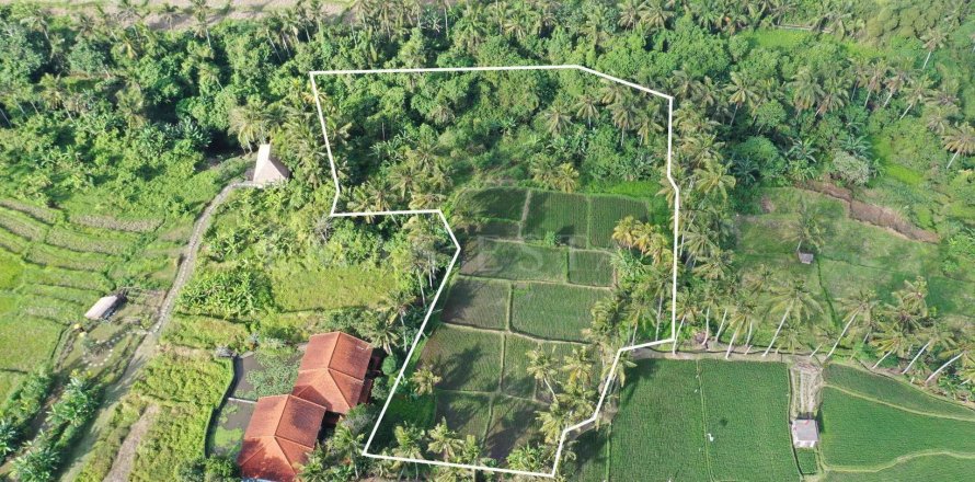 Land in Ubud, Gianyar, Indonesia No. 2163
