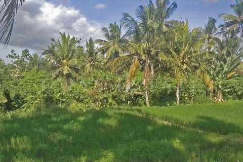 Land in Ubud, Gianyar, Indonesia No. 2163 3