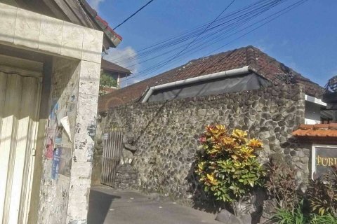 Land in Ubud, Gianyar, Indonesia No. 2163 4