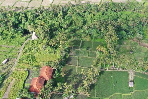 Land in Ubud, Gianyar, Indonesia No. 2163 5