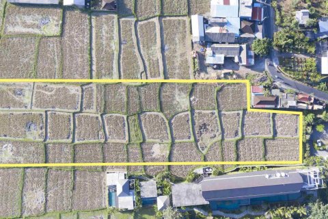Land in Ubud, Gianyar, Indonesia No. 2158