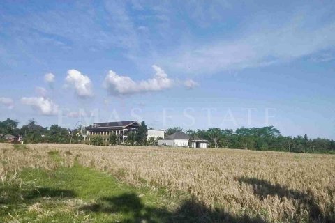 Land in Ubud, Gianyar, Indonesia No. 2158 2