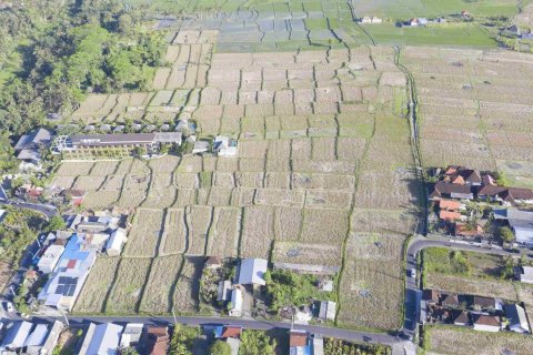 Land in Ubud, Gianyar, Indonesia No. 2158 3