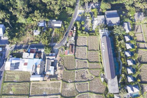 Land in Ubud, Gianyar, Indonesia No. 2158 4