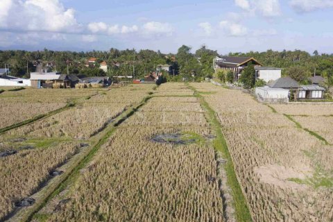 Land in Ubud, Gianyar, Indonesia No. 2158 5