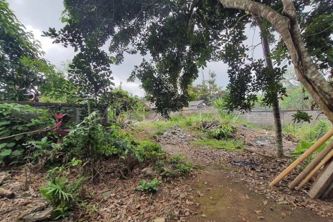 Land in Ubud, Gianyar, Indonesia No. 2161