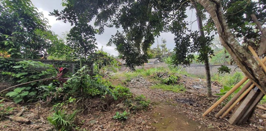 Land in Ubud, Gianyar, Indonesia No. 2161