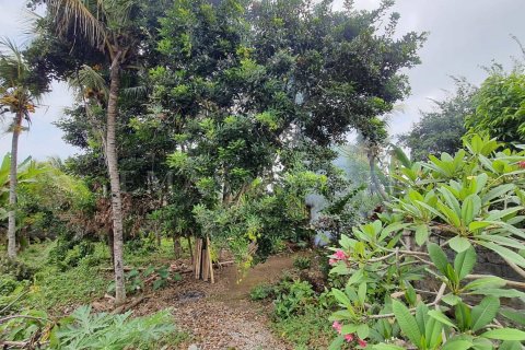Land in Ubud, Gianyar, Indonesia No. 2161 2