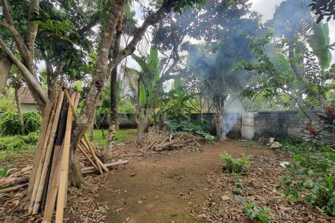 Land in Ubud, Gianyar, Indonesia No. 2161 4