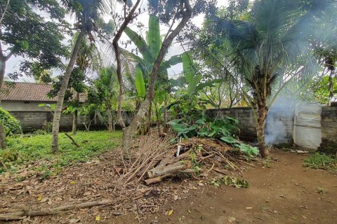 Land in Ubud, Gianyar, Indonesia No. 2161 5