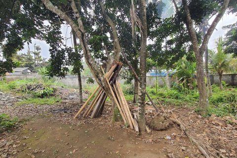 Land in Ubud, Gianyar, Indonesia No. 2161 6