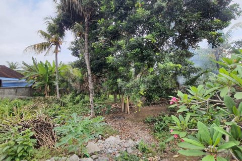 Land in Ubud, Gianyar, Indonesia No. 2161 7