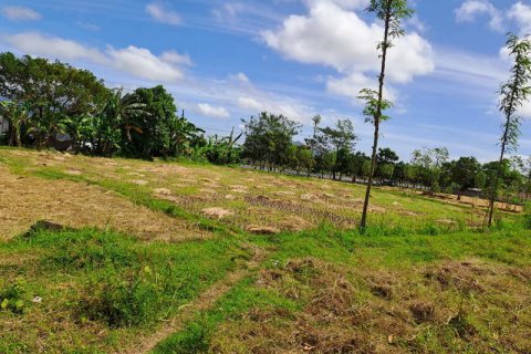 4600m2 Land in Indonesia No. 7802 10