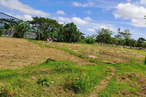 4600m2 Land in Indonesia No. 7802 7